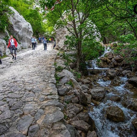 Apartment Maca Starigrad Paklenica Eksteriør billede